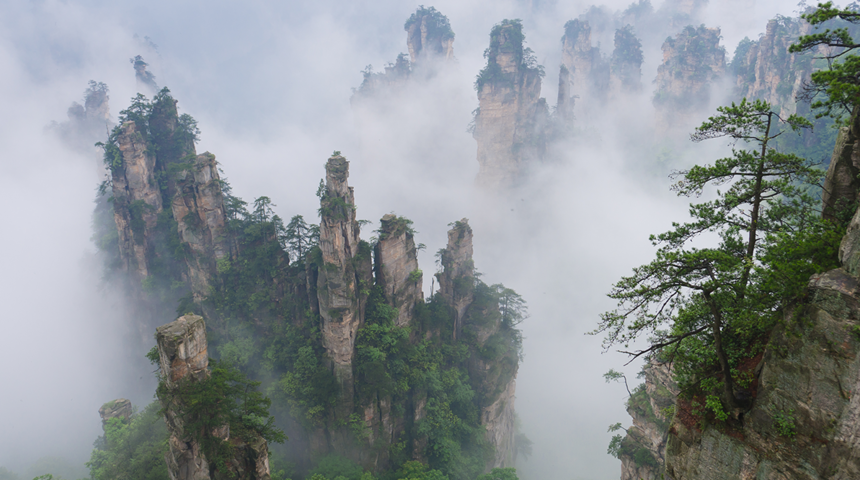 Avatar filmine ilham oldu! Görenleri manzarası ile büyüleyen bir yer: Tianzi Dağları