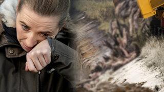 Danimarka'da vizon itlafı krizi: Başbakan Frederiksen hakim karşısına çıkabilir