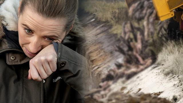 Danimarka'da vizon itlafı krizi: Başbakan Frederiksen hakim karşısına çıkabilir