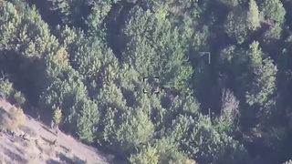 Gri kategorideki teröristi UÇBEY yakaladı