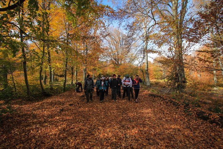 Domaniç Dağları'nda 29 Ekim Cumhuriyet Doğa Yürüyüşü yapıldı G1