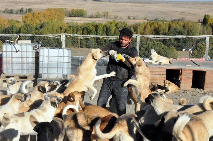 Kepçe operatörü kurduğu barınakla yüreğini 300 "can dost"a açtı G1