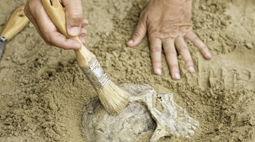 500 bin yıl önce yaşayan insan! Adı açıklandı