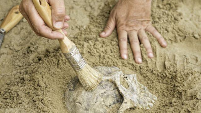 500 bin yıl önce yaşayan insan! Adı açıklandı