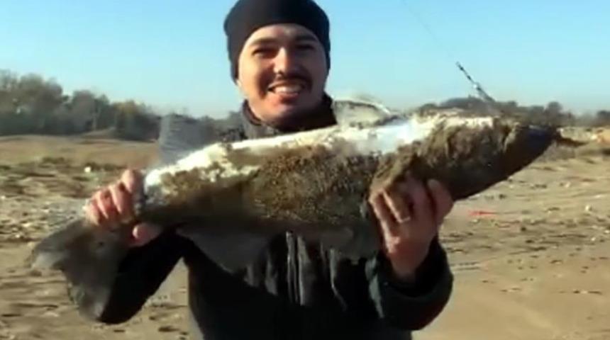 Balık avına ilk kez çıktı! Oltasına takılan balığın ağırlığını görünce şaşkına döndü