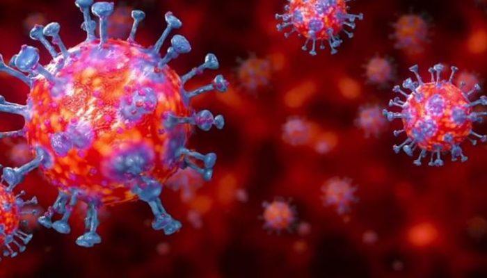 Koronavirüs biyolojik silah olarak mı geliştirildi? ABD istihbaratı açıkladı