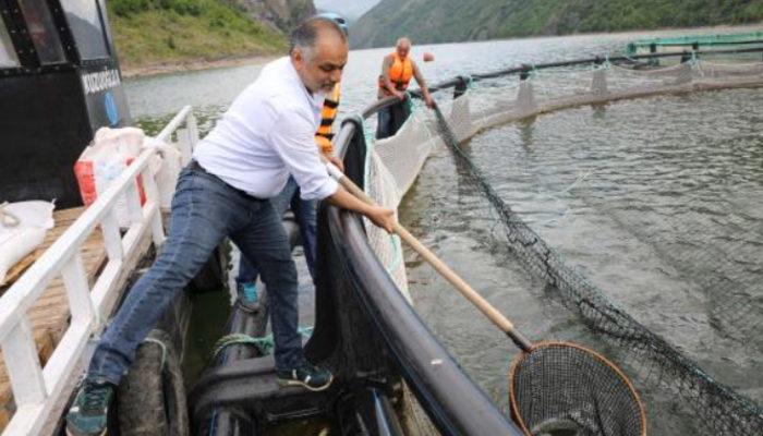 Japonya ve Rusya Karadeniz somonunu talep ediyor: Yok satıyoruz!