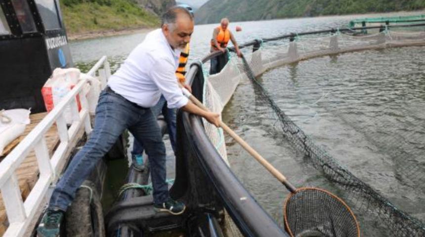 Japonya ve Rusya Karadeniz somonunu talep ediyor: Yok satıyoruz!