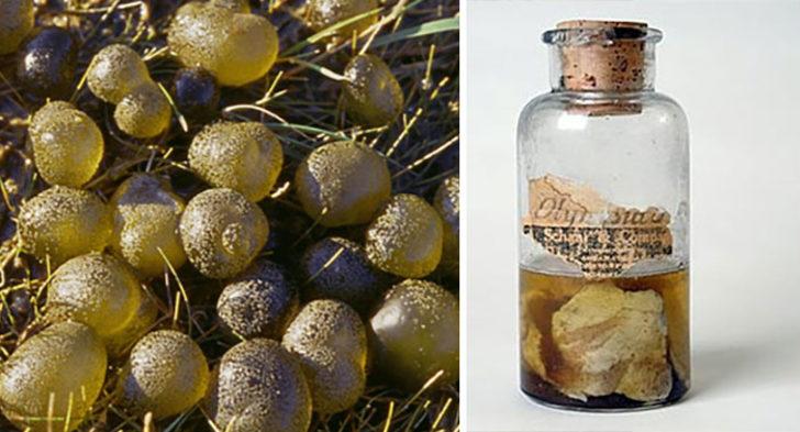 Kafasını yere çarptı! Dahi olarak uyandı! İşte duyunca şaşkına döneceğiniz 5 ilginç olay G3