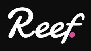 Reef Coin nedir? Reef Coin ne kadar, kurucuları kimler, geleceği var mı?