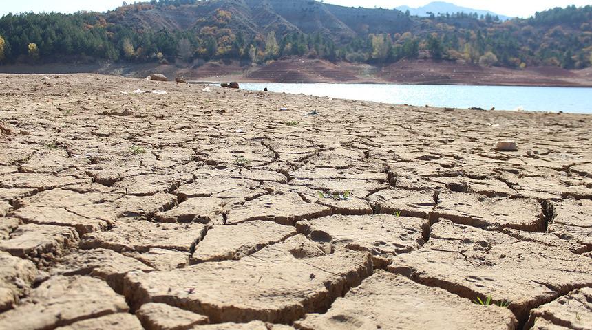 Yürek sızlatan görüntü! Yüzde 9'a kadar geriledi
