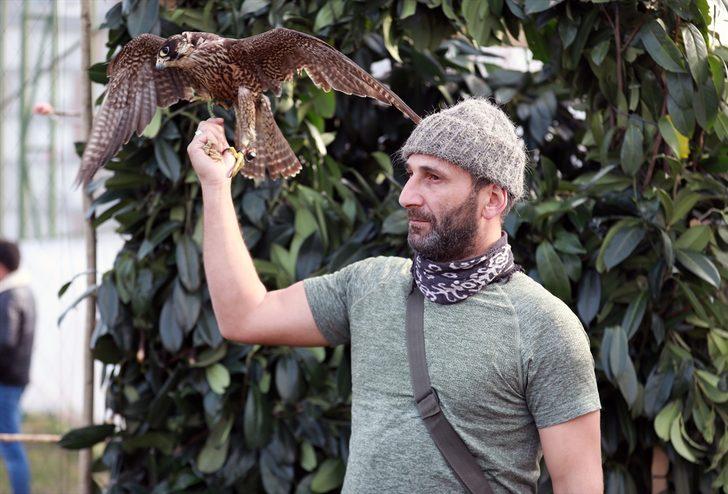 Rize'de "Şahin Atmaca Güzellik Beceri ve Doğaya Salım Festivali" yapıldı G1