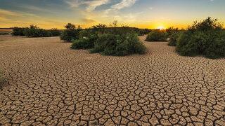 Küresel İklimin Durumu 2021 raporu yayımlandı