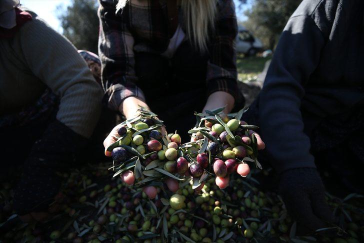 Bu iş için yöneticiliği bıraktı! Yurt dışından bile isteyenler var G3