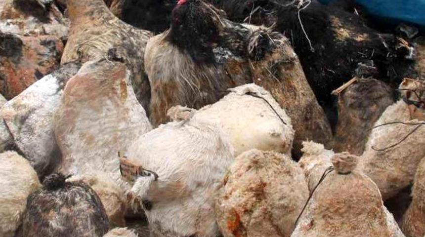 "Bu lezzet başka yerde yok!" Yiyebilmek için 5 ay bekliyorlar