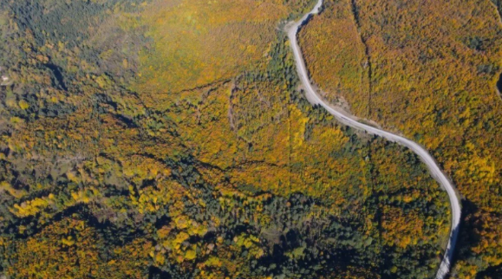 Küre Dağları’nda sonbahar esintisi! Renk cümbüşü yarattı G2