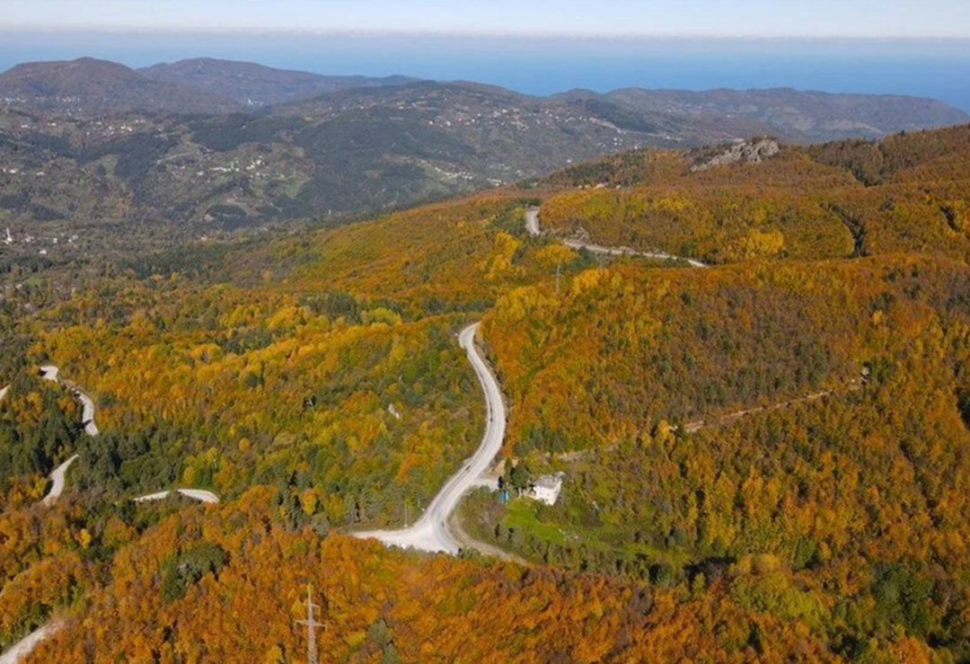 K&uuml;re Dağları&rsquo;nda sonbahar esintisi! Renk c&uuml;mb&uuml;ş&uuml; yarattı