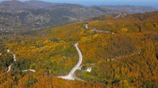 Küre Dağları’nda sonbahar esintisi! Renk cümbüşü yarattı