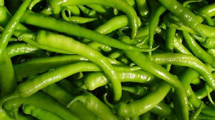 Biber yüz güldürdü