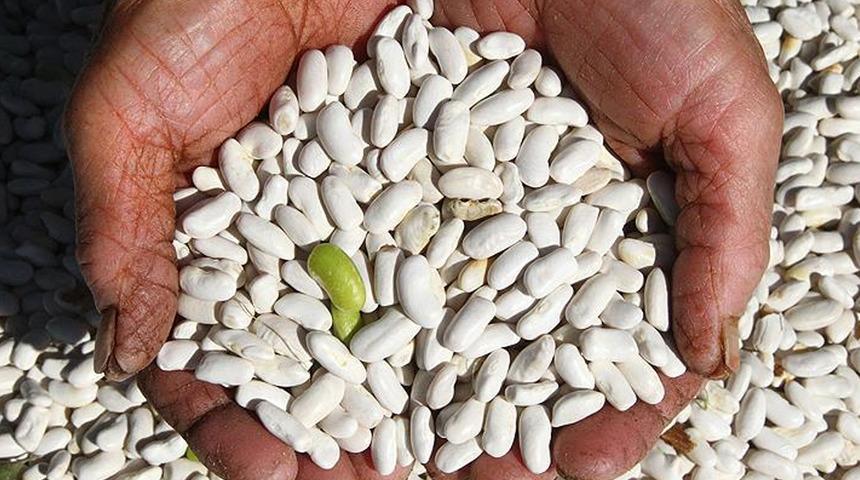 Kuru fasulye, yüz güldürmedi      