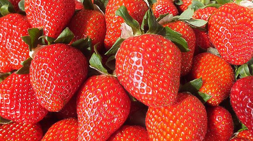 Çilek, üreticinin yüzünü güldürdü