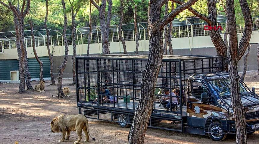 Rus turistlerin safari keyfi