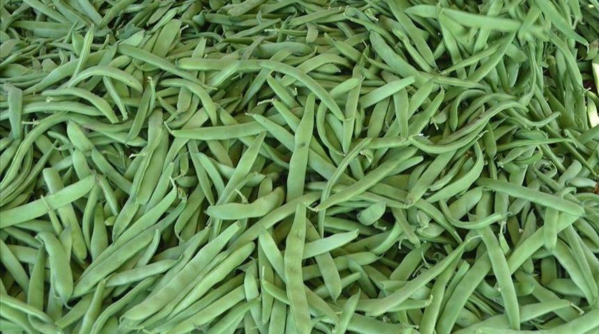 Yayla fasulyesi y&uuml;z g&uuml;ld&uuml;rm&uuml;yor