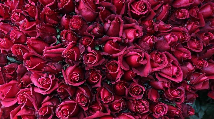 Isparta "gül"ünden vazgeçiyor