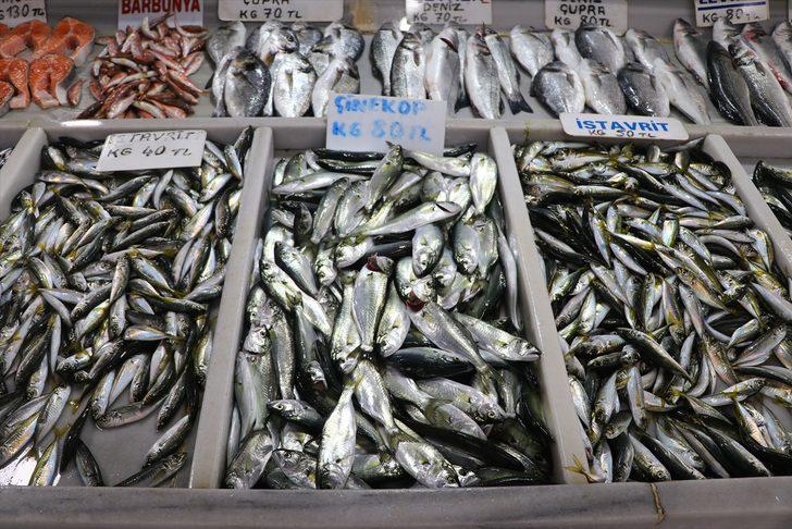 Tekirdağ'da tezgahların gözdesi "çinekop" oldu G2