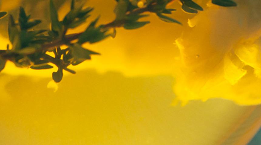 Hamilelere kekik çayı uyarısı! Kekik çayının bir zararı da düşük riski yaratması