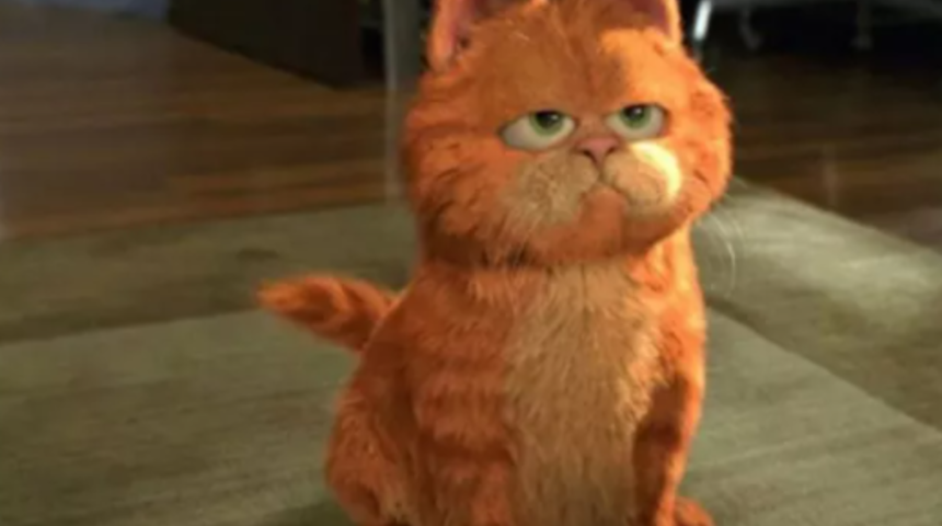 GRF (Garfield) token alan yatırımcılardan Hotbit'e şikayet yağdı! 