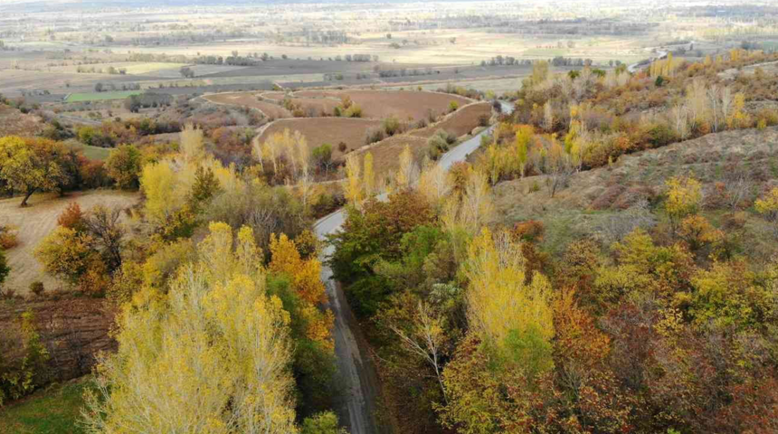 Sonbahardan kışa geçerken doğa renk cümbüşü yarattı! Görsel şölen oluşturdu