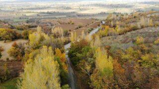 Sonbahardan kışa geçerken doğa renk cümbüşü yarattı! Görsel şölen oluşturdu