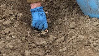 Üretimine Edirne'de başlandı! Pazar sıkıntısı yok: 30 kat fazla kazandırıyor