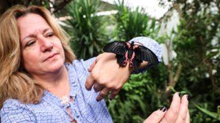 İngiltere seyahati ilham oldu! Kelebek çiftliğini İstanbul’da kurdu