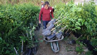  Günlük 300 lira! Bu iş için başka mahalleden gelen bile var