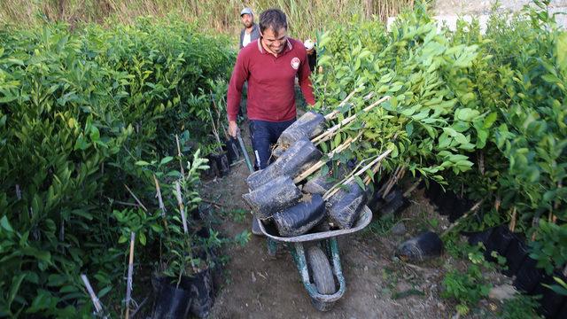  Günlük 300 lira! Bu iş için başka mahalleden gelen bile var