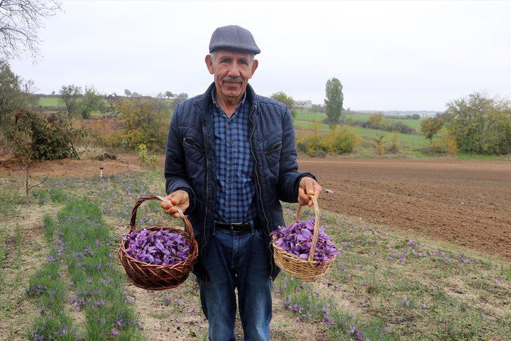Hobi olarak üretimine başladığı safran soğanı talebine yetişemiyor G4