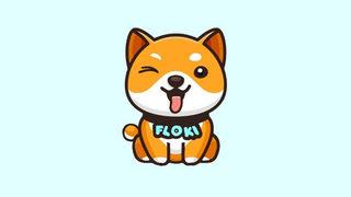 Floki Coin ne kadar oldu, kaç TL? Floki Coin yükselir mi?