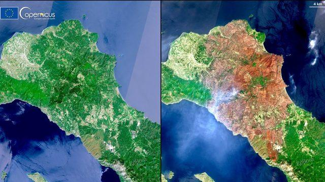 1 Ağustos - 11 Ağustos 2021 arasında Evia'nın değişimi