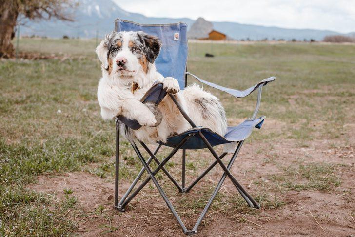 Konforlu ve keyifli bir geziler için en iyi kamp sandalyesi önerileri