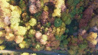 2 bin 800 rakımlı Genya Dağı, sonbahar renkleriyle görsel şölen yaşattı