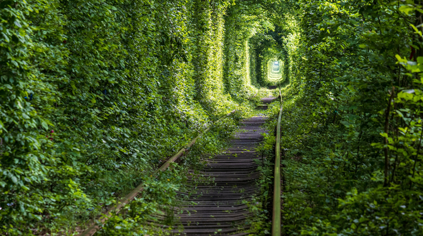 Aşıklar buraya uğramadan duramıyor! Ukrayna’da masalsı bir durak: Aşk Tüneli
