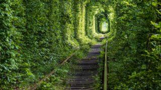 Aşıklar buraya uğramadan duramıyor! Ukrayna’da masalsı bir durak: Aşk Tüneli