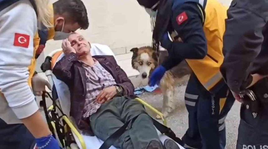 Vefakâr köpek, kanlar içinde kalan sahibinin başından ayrılmadı