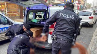 İtilerek götürüldüğünü görünce durdurdular! Suç üstüne suç