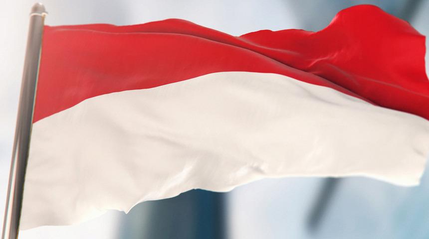 Endonezya'da uçak düştü: 5 ölü 