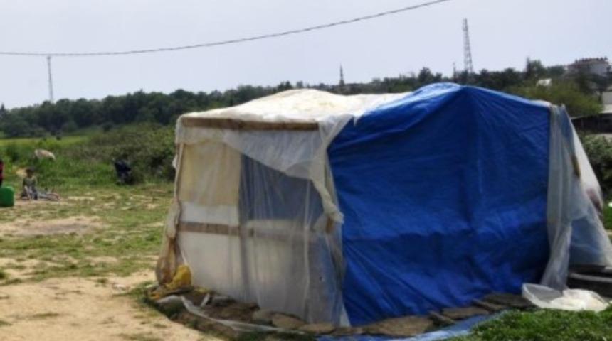 Aile naylon çadırda yaşıyor
