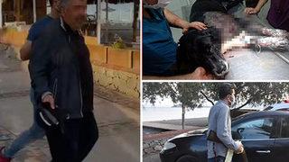 Akılalmaz olay! Köpek kendine havladı diye dehşet saçtı