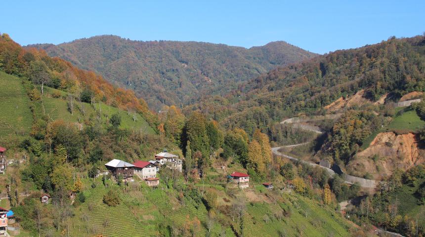 4 parti birden karşı çıkmıştı! Bal ormanına taş ocağı için bilirkişi raporu: Ekolojik denge yok olur